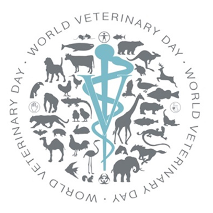 World Health Day 2025